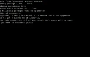 Updating Packages (apt-get upgrade)