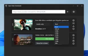 Option to download audio (low quality and high quality)