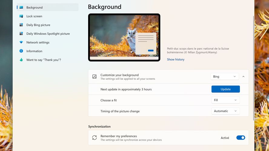 10 Best Wallpaper Engine Alternatives Top Wallpapers Hubs in 2023