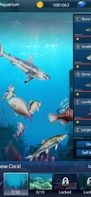 Fishing Championship screenshot 1