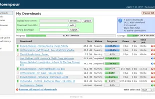 Main download window