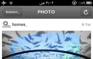 FunColor screenshot 2