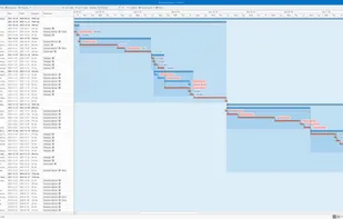 Gantt View