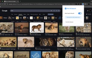 Pre-AI Search screenshot 2