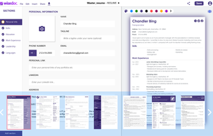 UI of Wisedoc Resume Builder