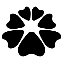 TDR Kotelnikov icon