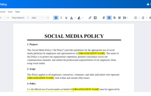 EasyLegalDocs.com Online Editor
