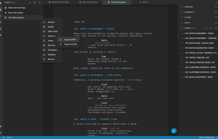 Screenshot of script formatting and scene management interface in Clapperbie