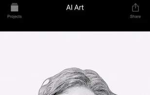 Perfect Pic screenshot 1