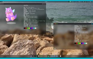 Tom OS screenshot 1