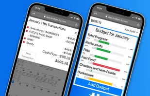 Budget Fu screenshot 1