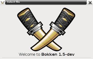 Radare analysis options