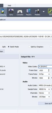AVS Video Converter screenshot 1