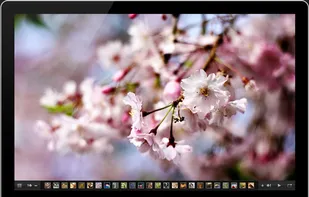 SlideShowPro Director screenshot 1