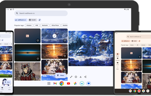 Wallflow screenshot 1