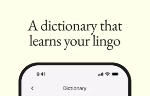 Wispr Flow screenshot 2