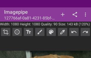 share media attachment