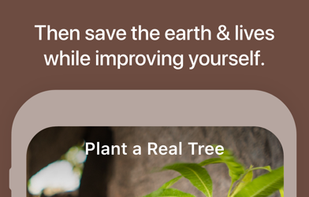 Flora - Green Focus screenshot 1