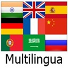 Multilingua icon