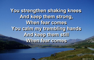 SongPro screenshot 2