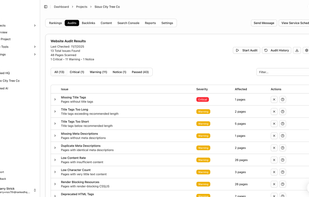 Ranked.ai screenshot 1