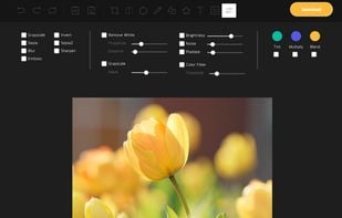 TOAST UI Image Editor screenshot 1