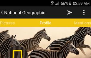 TweetLite for Twitter screenshot 1