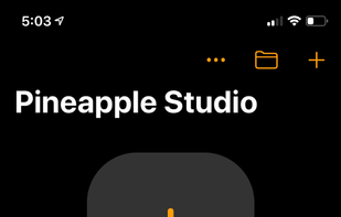 Pineapple.build screenshot 1