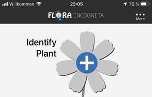 Flora Incognita screenshot 1