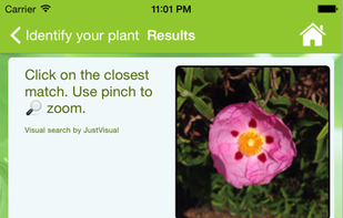 Garden Answers Plant Id screenshot 3
