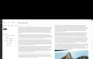 Split view content editor with Markdown support