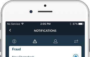 Payment analytics and alerts