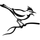 Cuckoo Sandbox icon