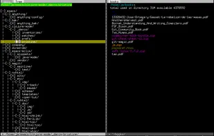 With extensions installed: tabs, tree, modeline, buttons -- text console mode