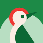 Taptap Send icon