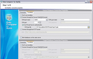 User-friendly wizard interface | Setting connection properties (tunneling)