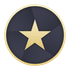 Review Command icon