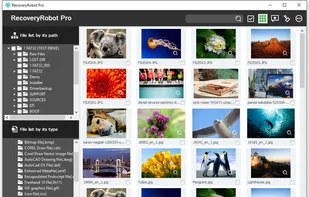 RecoveryRobot Pro screenshot 3