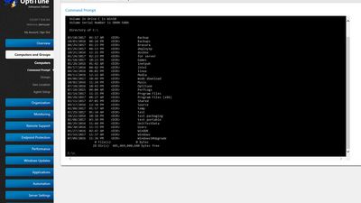 Using the web browser based Remote Command Prompt