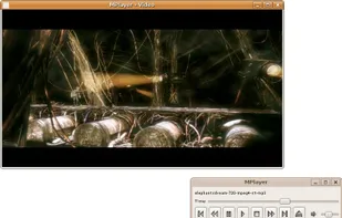 MPlayer on Ubuntu (Linux)