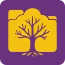 Birchflow icon