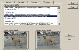 DupDetector screenshot 1