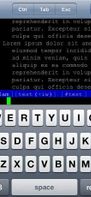 pTerm screenshot 1