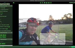 Damselfly screenshot 2
