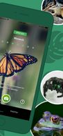 Seek by iNaturalist screenshot 3