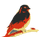 RATH icon