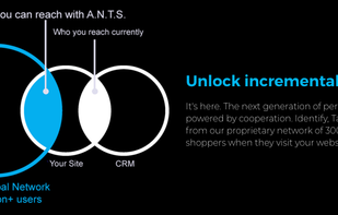 Learn from our proprietary network of 300M+ online shoppers when they visit your website.