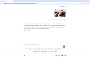 Experience precise visual analysis. Ask the conversational AI to describe the image and get a detailed, natural language picture description in seconds