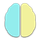 brain.cards flashcards icon