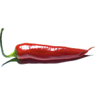 ChiliProject icon